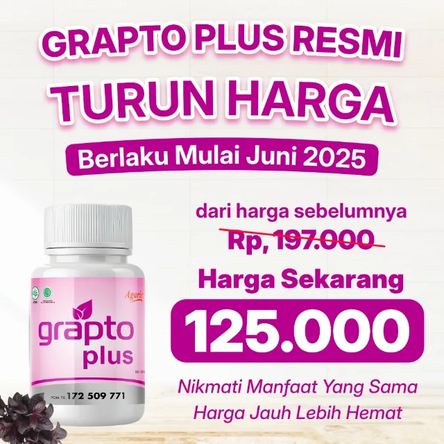 1749797473700-Harga Grapto