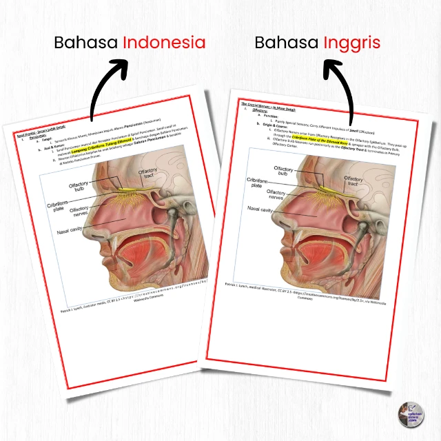 1740498076142-Copy of KONTEN MEDIS (4).webp