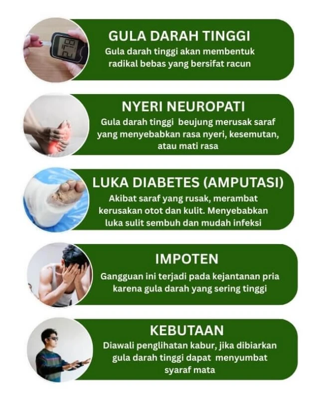 1745463448321-list guldar