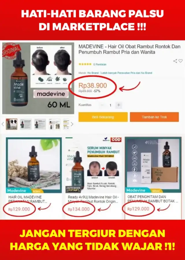 1742957687563-h6VSRK27E2iKCDYh6V6ZykRB9hf3WQCKtsUNPkfi24A-2