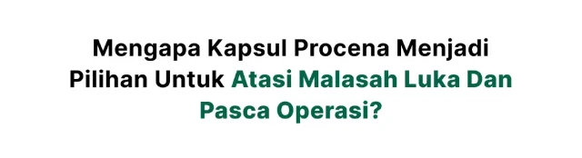 1735181263595-Instagram post - 21