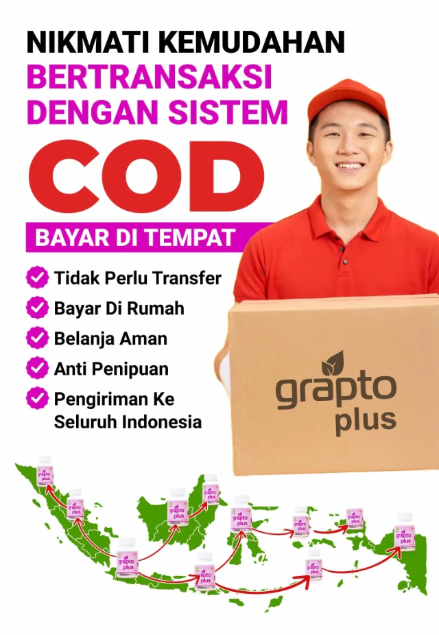 1750391980846-LP GRAPTO TONI-4-34