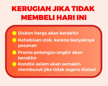 1742962142417-lpfim13-1-1