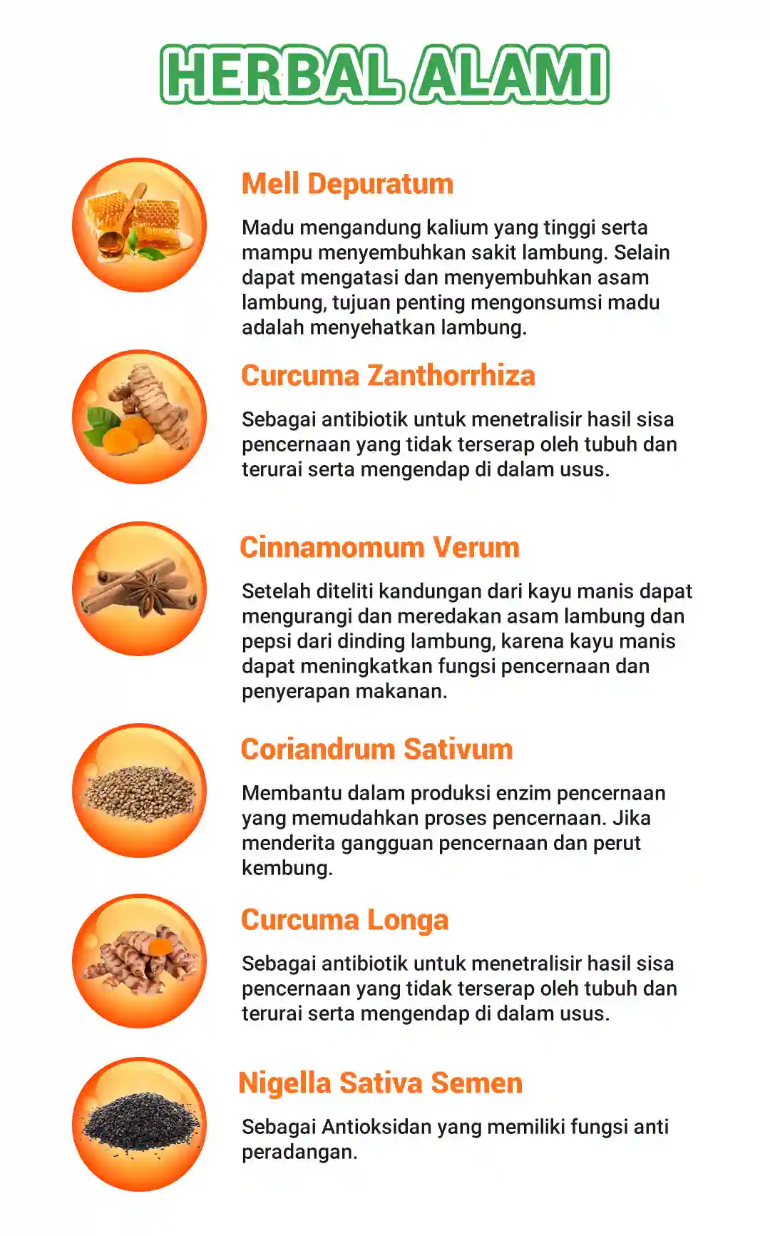 1710296032565-LP-Kang Yahya-Rev-7