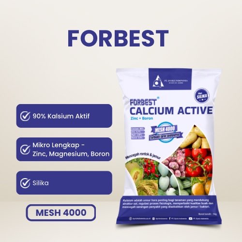 1748055596726-FORBEST SHOPEE_11zon.jpg