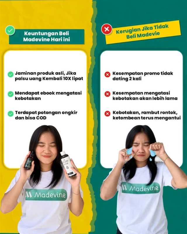 1743143320578-LP-BAI-816x1024