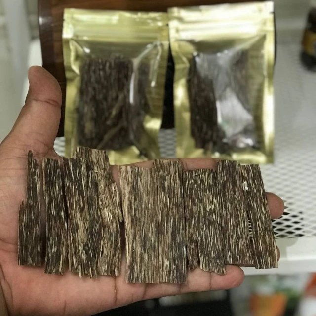 1731162709808-FREE Sampel