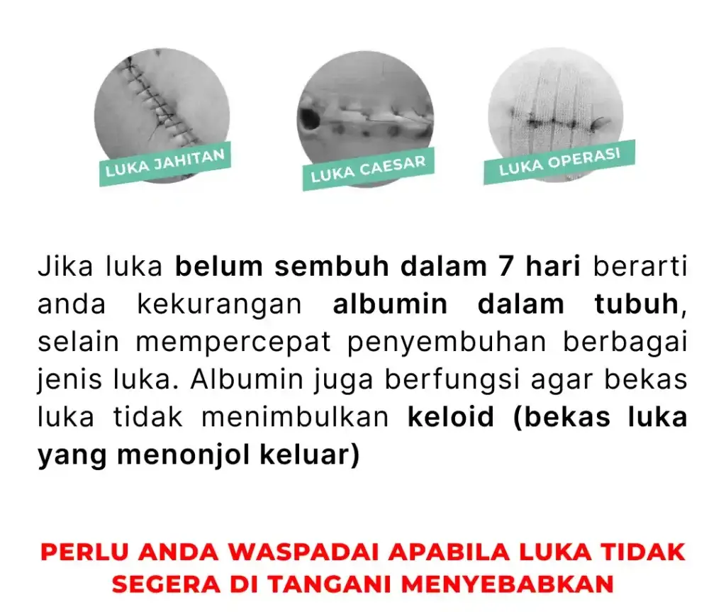 1710745302812-Instagram-post-290-1024x863