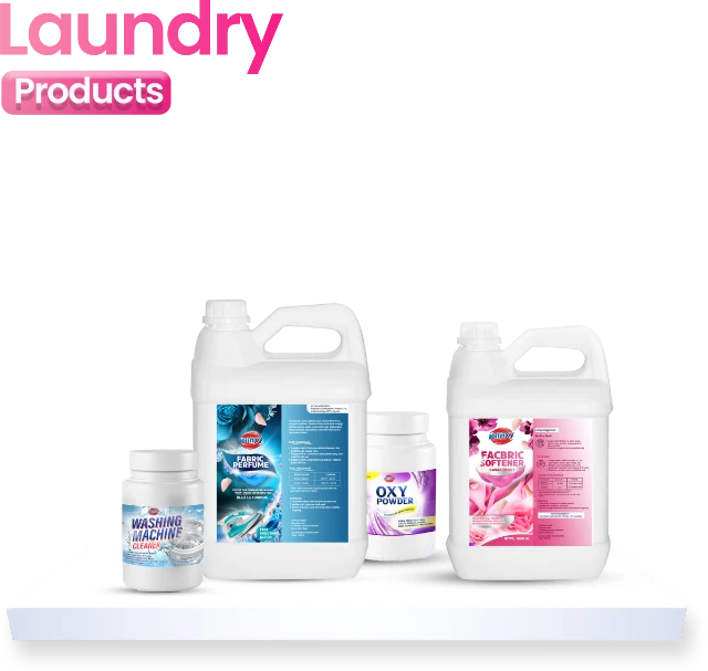 1744979114790-laundry (1).webp