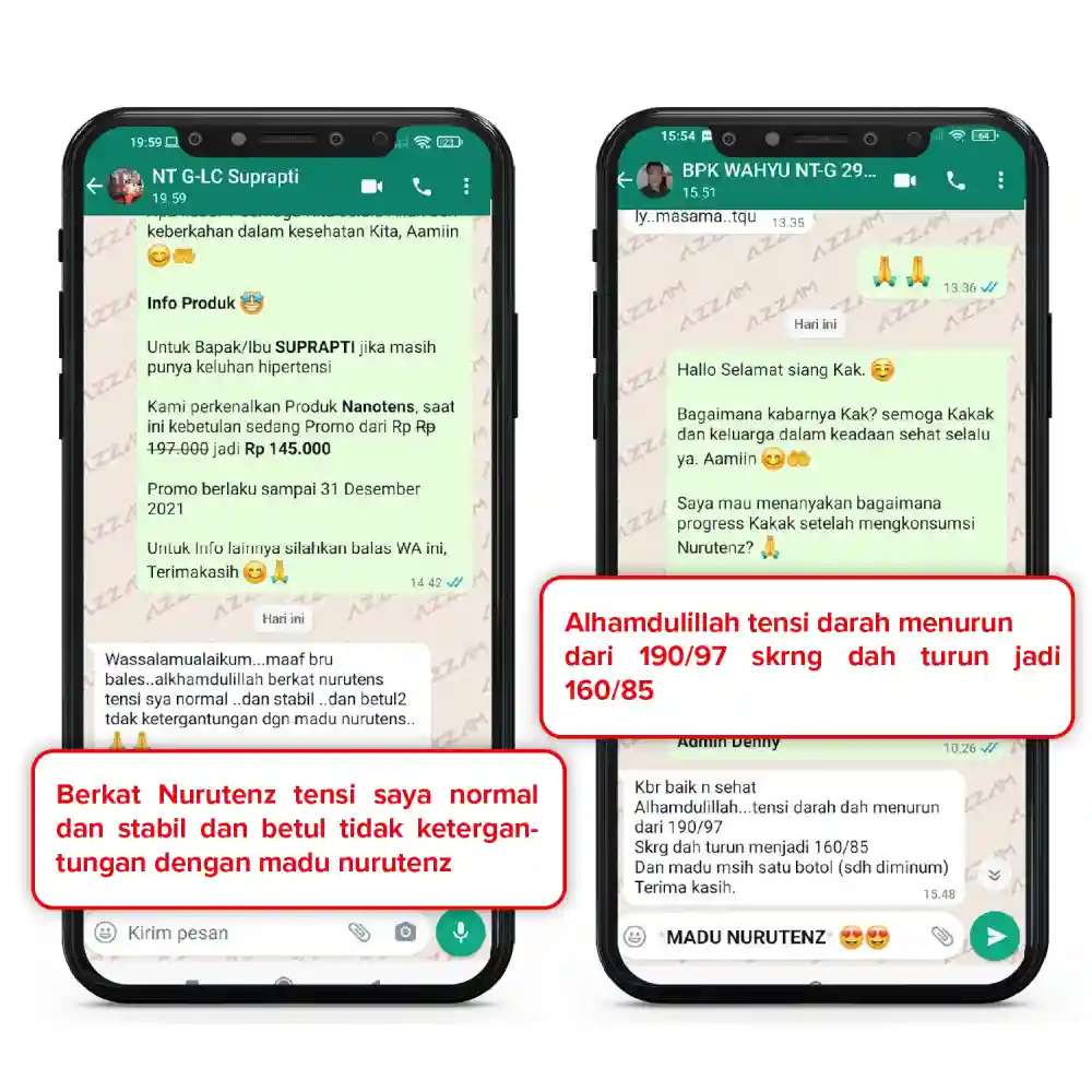 1710345790989-LP-Nurutenz-12