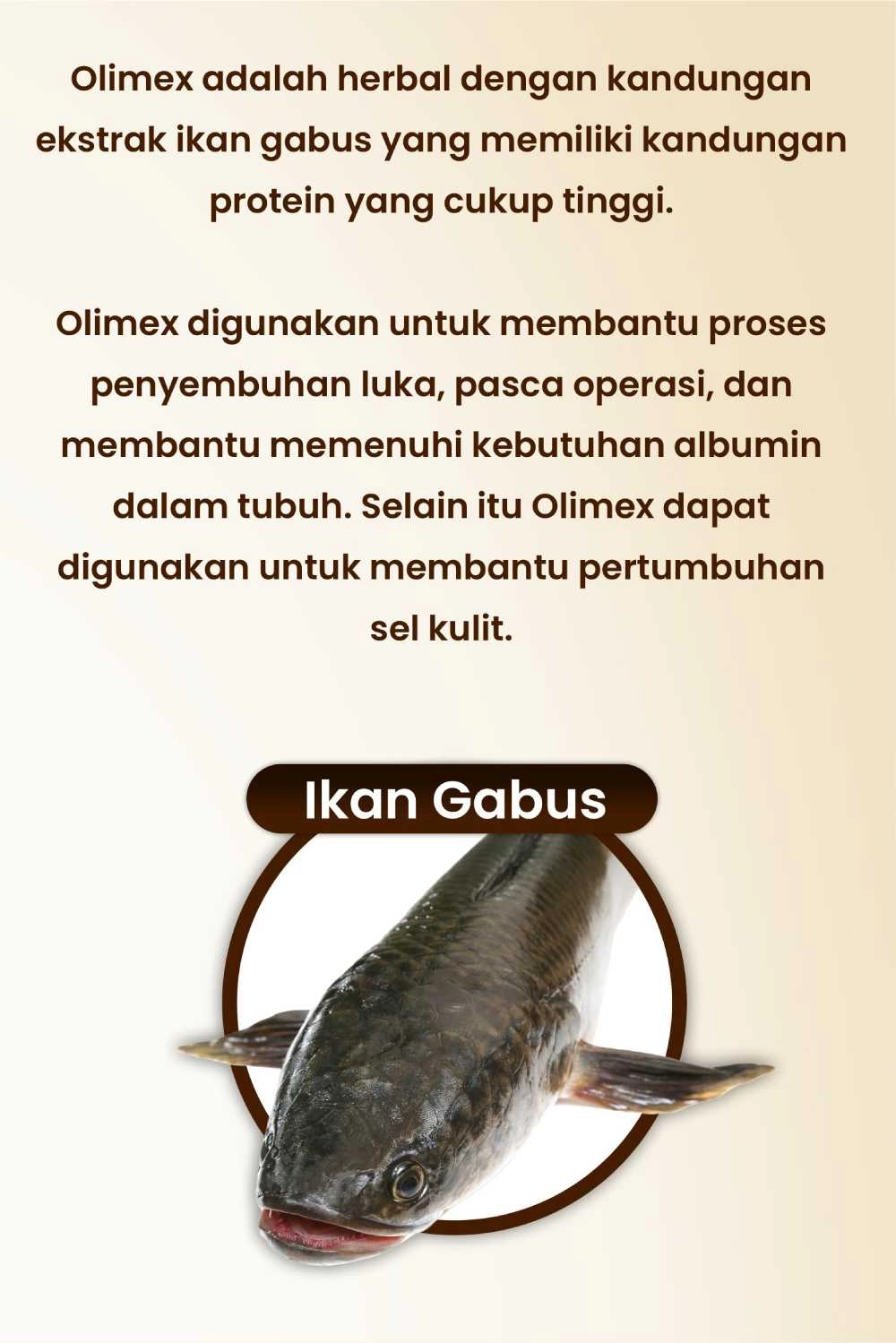 1710302622938-LP-olimex-6