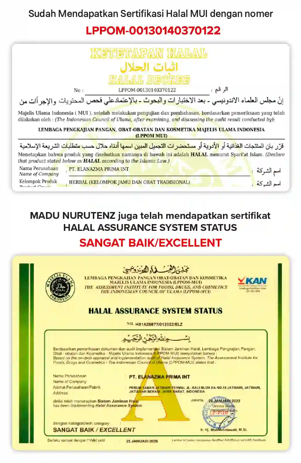 1710345643840-LP-Nurutenz-8