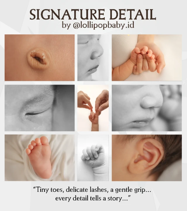 1746281909100-Signature Detail LP