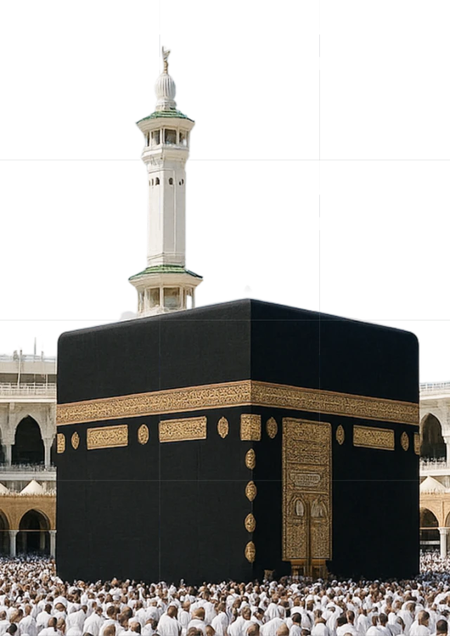 1747293401847-Hero Image