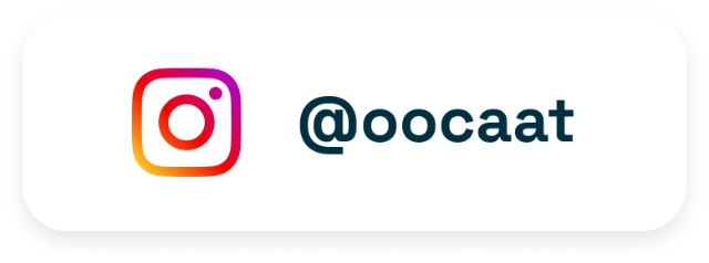 1729046690929-ig icon