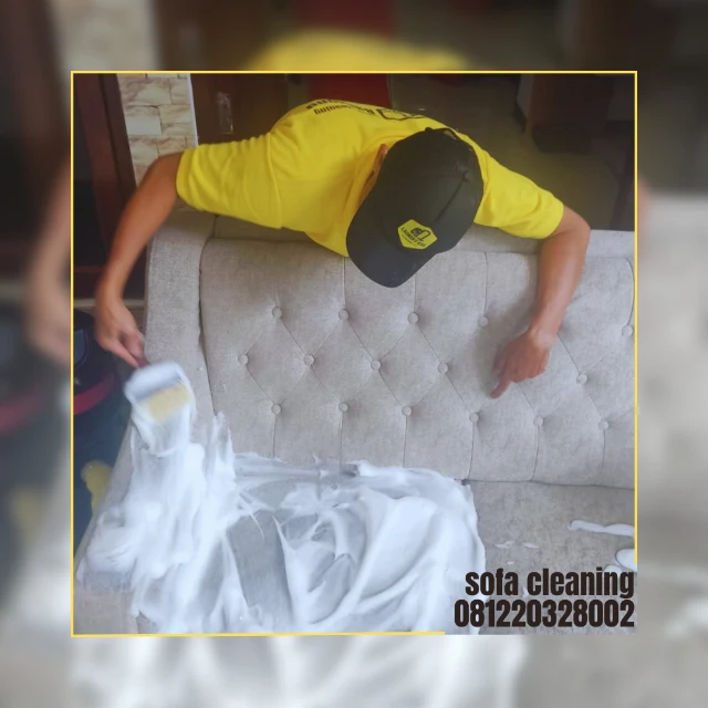 1733295565029-sofa cleaning 081220328002.webp
