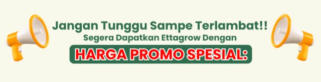 1747365161164-Screenshot 2025-05-10 at 11.12.49