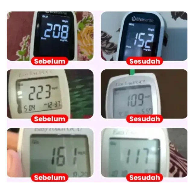 1739603109742-1734401065989-1734251043080-Desain_ta_Gq3PU54 (1)