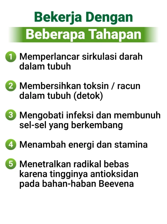 1736138339102-LP Beevena 3-04