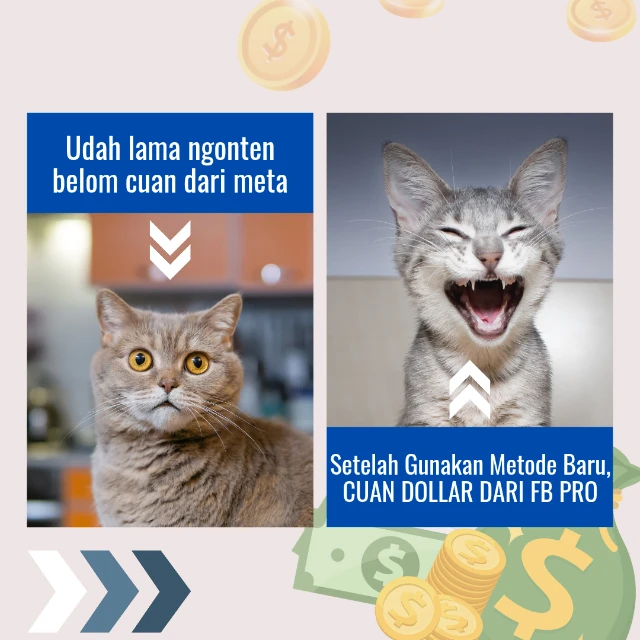 Cuan Dollar Dari FB Pro