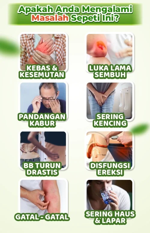 1731386026250-1730978044740-LP_VIT_5