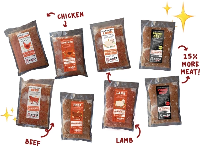 1745334269027-product