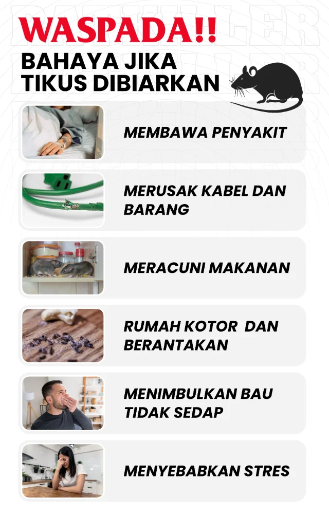 1749776733789-WASPADA