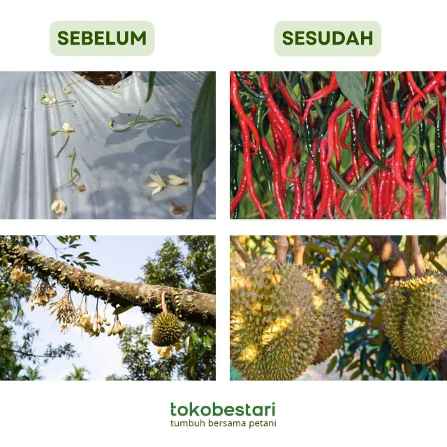 1737690410786-FORBEST Before After LP-min