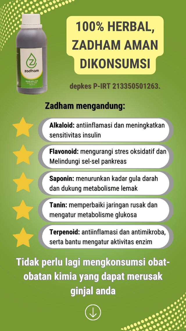 1731739484034-Harapan baru bagi penderita diabetes kronis (13)
