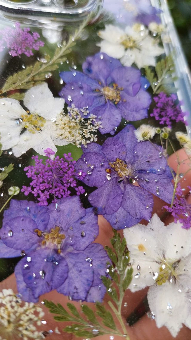 1729506292849-photo_2024-10-21_17-12-28