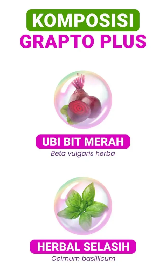 1750404068544-LP GRAPTO TONI-3-03