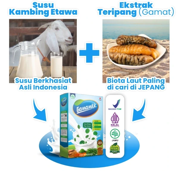 1736835760033-slice18_result