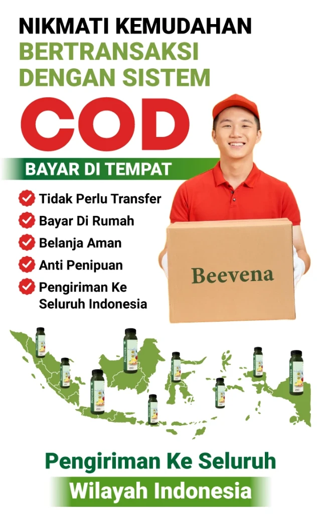 1736138449669-LP Beevena 3-14