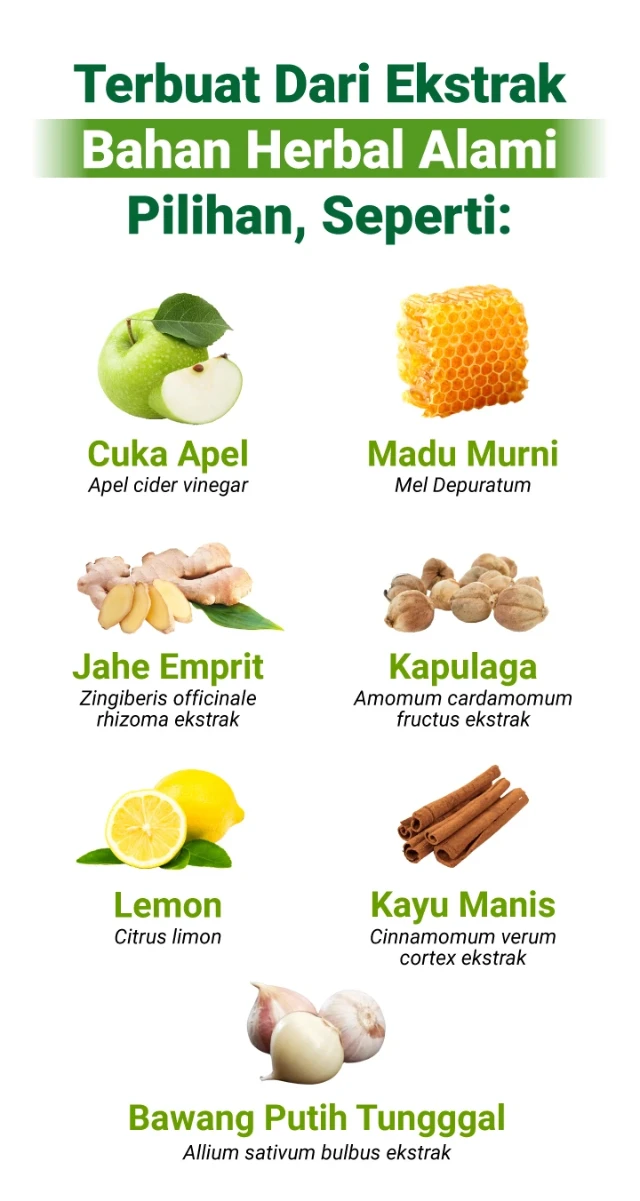 1736138321372-LP Beevena 3-03