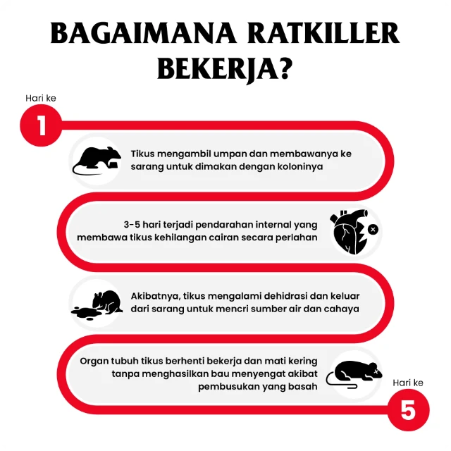 1749776906319-cara kerja ratkiller