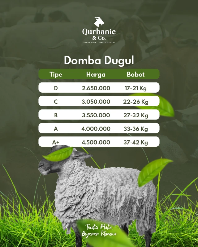 Hewan Qurban