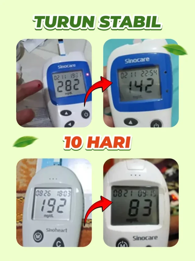 1741399794921-06_FITRIA_DG_TURUN STABIL_ADIB#MARET