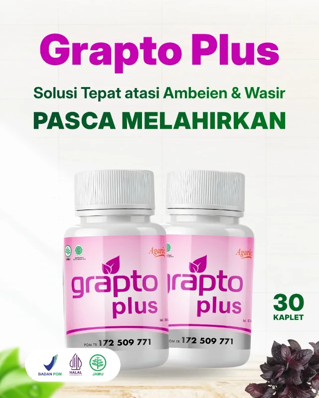 1750393226216-Lp Grapto