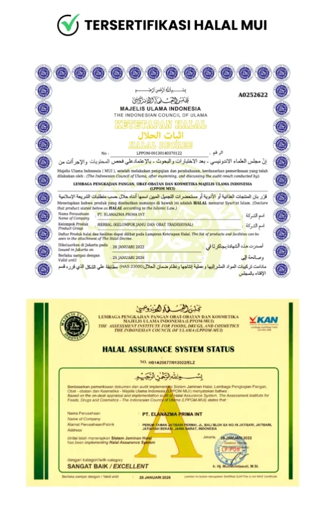 1749699305039-HALAL-MUI-642x1024