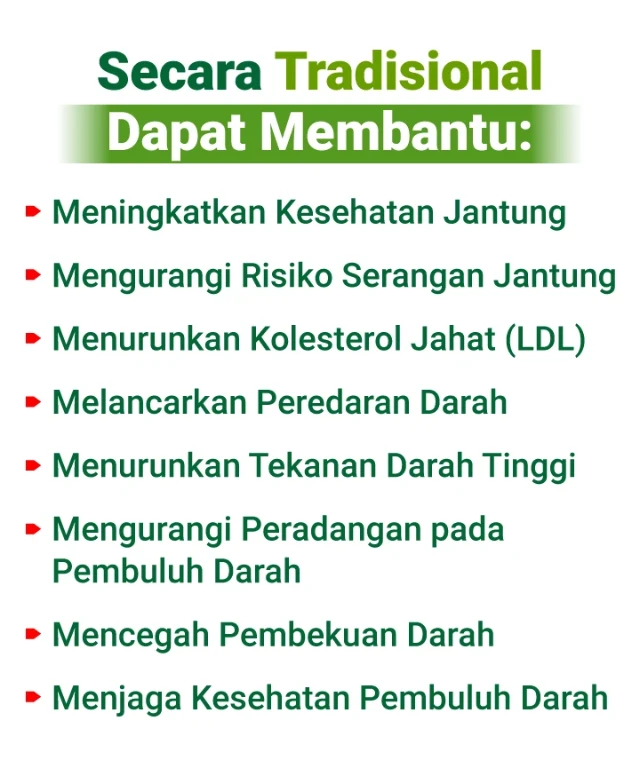 1736138291371-LP Beevena 3-02