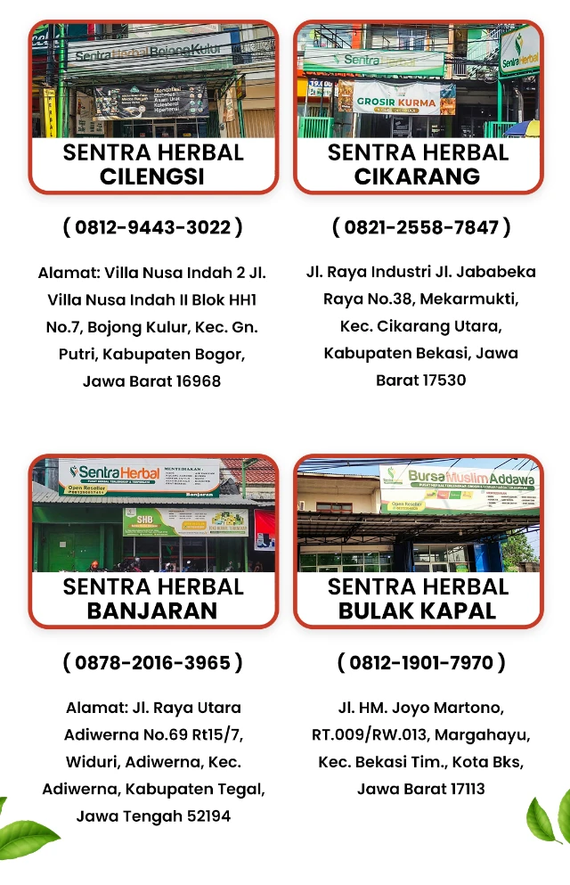 1735781948122-Artboard 2