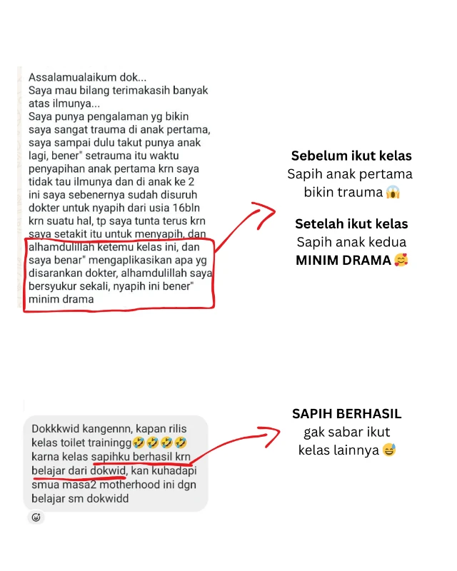 1730714297866-Sapih 1