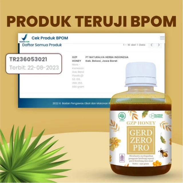 1736397210137-LP-I.1-GZP-Pro-Azizah-TikTok-Mei-2024-3