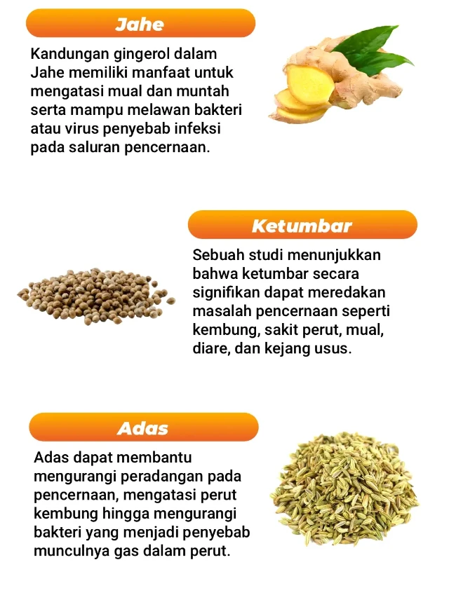 1726651559904-LANDING PAGE_5 (1)