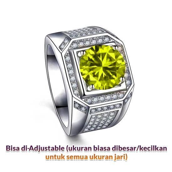 1732791631124-adjsttt