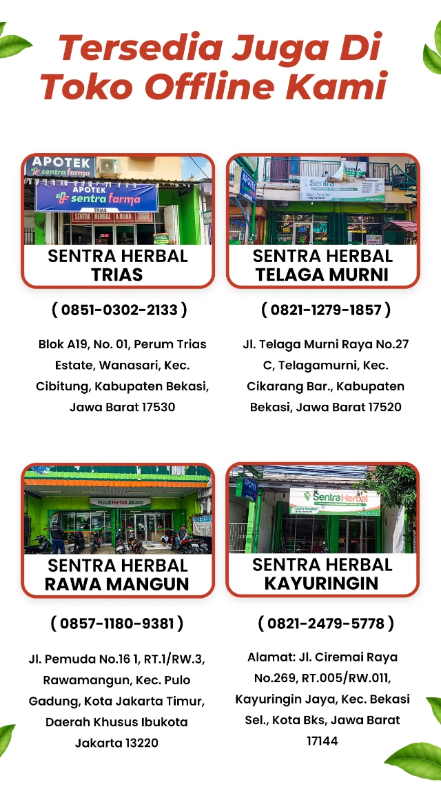 1735781873962-Artboard 1