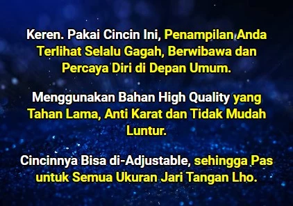 1732790501033-headline 2