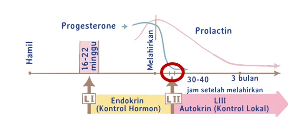 1729590654665-Screenshot 2024-10-22 164857