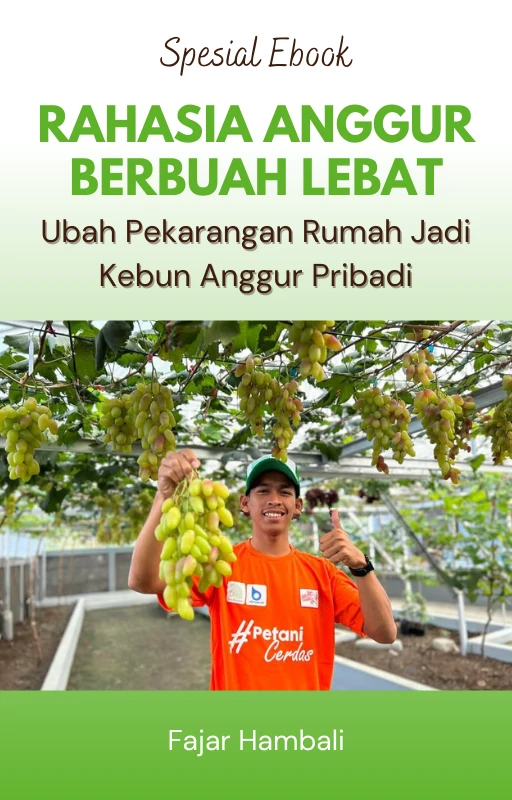 ebook Anggur