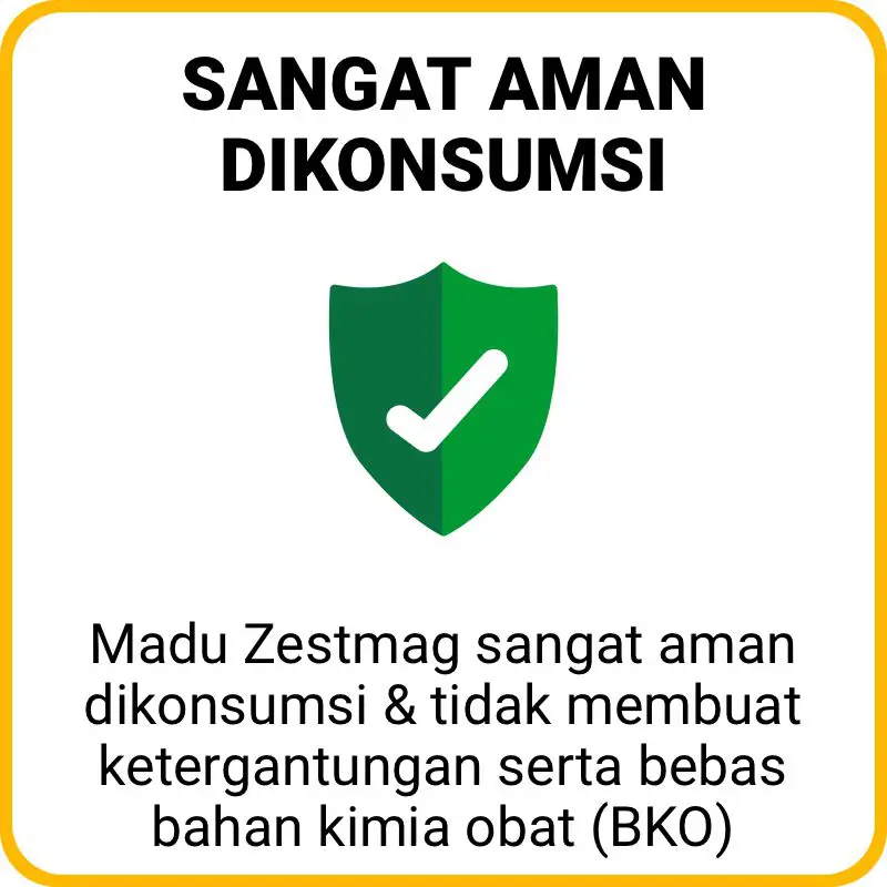 1709475541745-LP-Zestmag-Dani-10